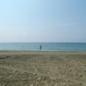 Import placeholder for 30