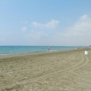 Import placeholder for 31