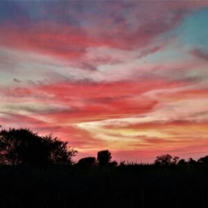 Import placeholder for 35