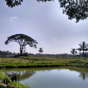 Import placeholder for 37