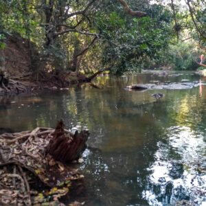 Import placeholder for 39