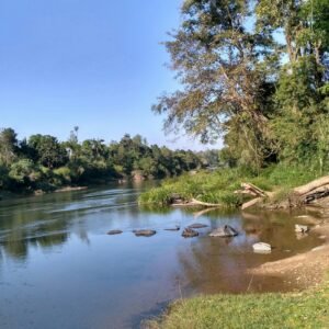 Import placeholder for 41