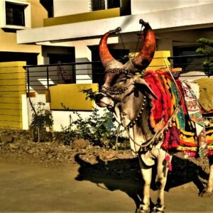 Import placeholder for 47