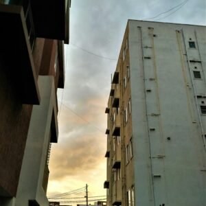 Import placeholder for 50